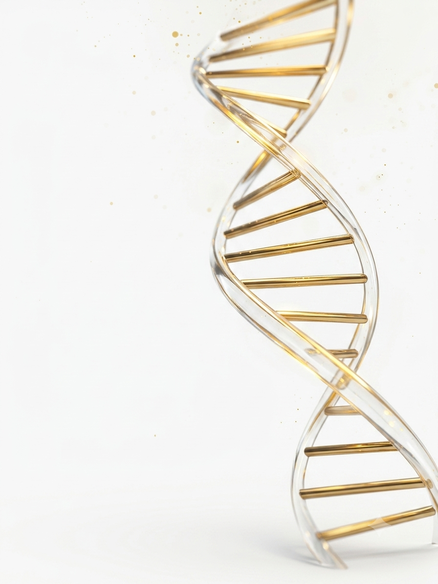 Longevidad ciencia para una vida más larga